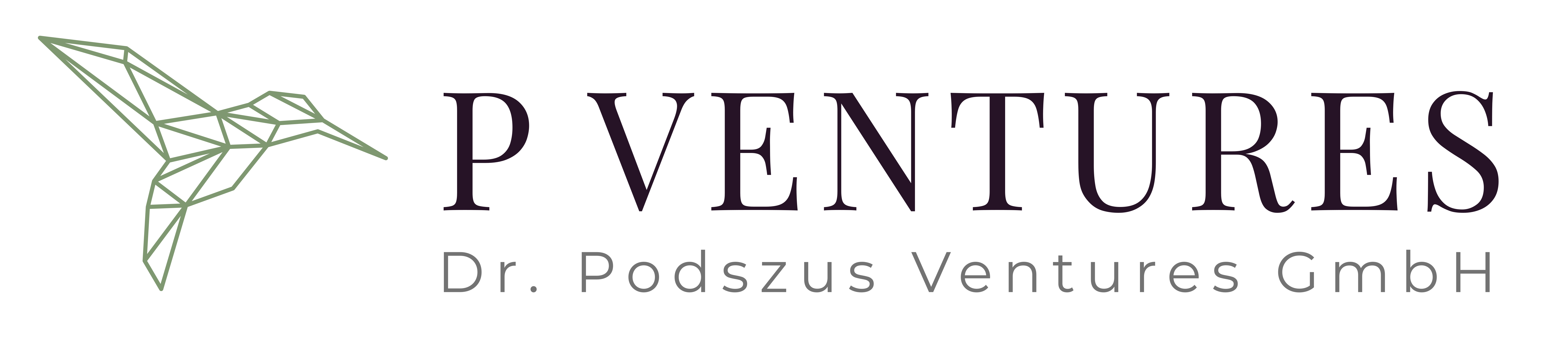 Logo P-Ventures
